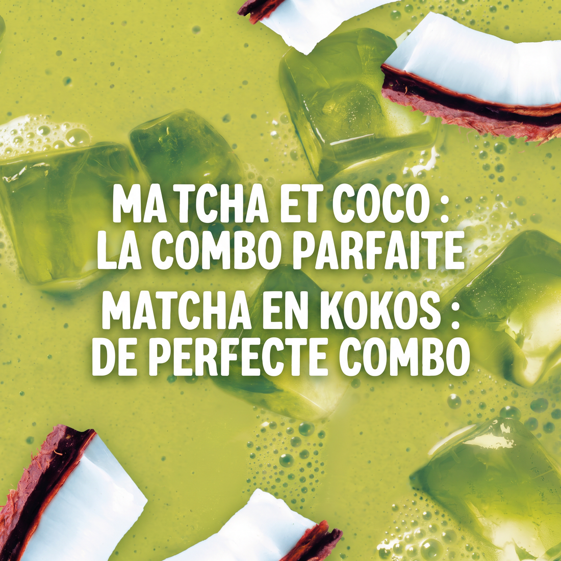 ALPRO Kokos Matcha Plantaardige Drank Matcha & Kokos Lactosevrij 8x1L